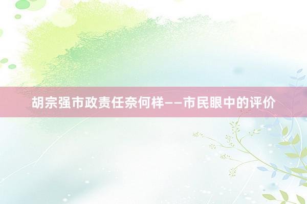 胡宗强市政责任奈何样——市民眼中的评价
